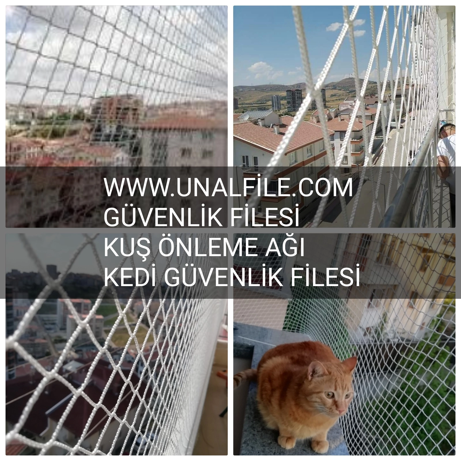 Balkon Kedi Filesi Montajı