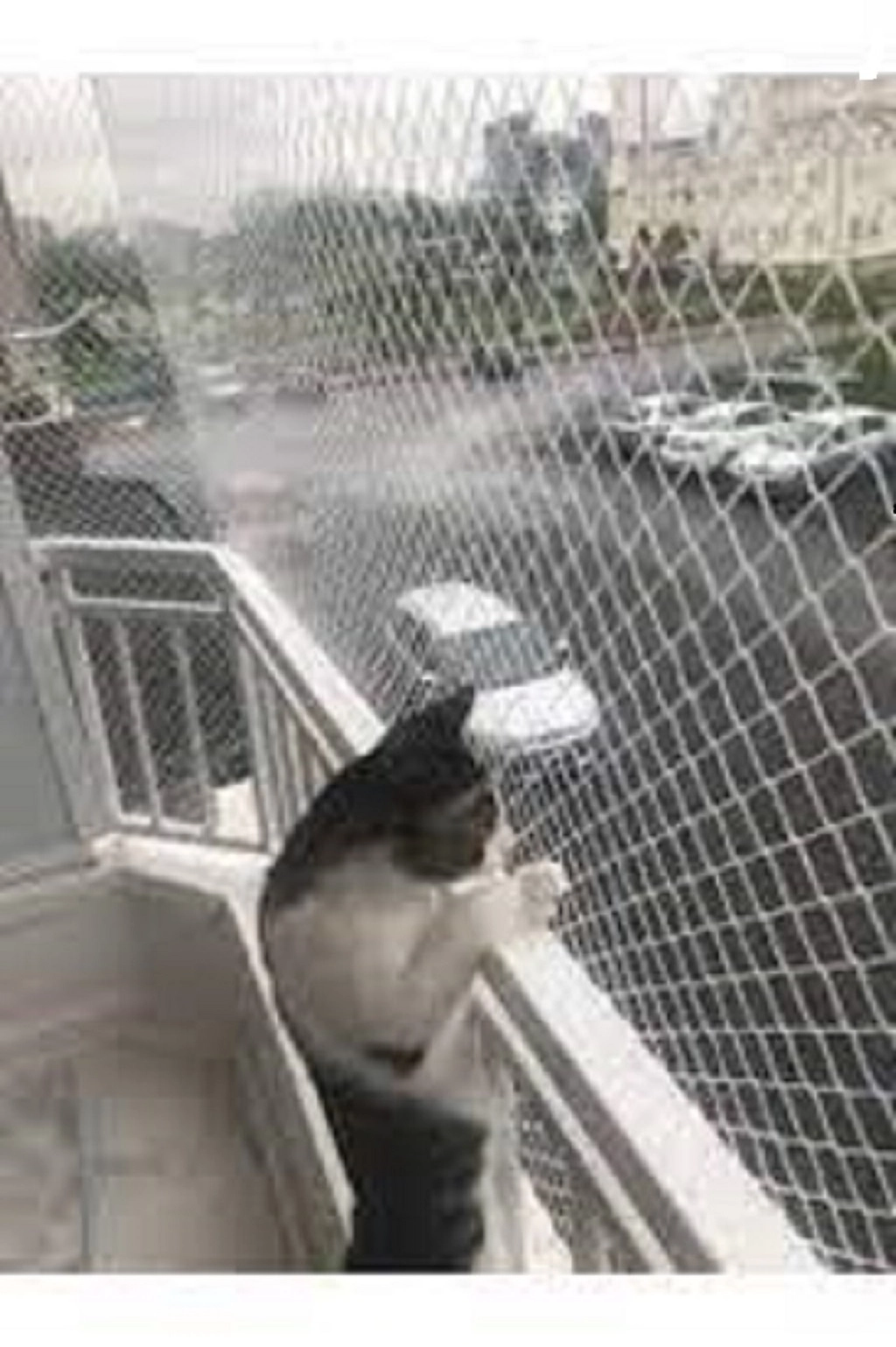 En 3 Metre Balkon Kedi Filesi Kuş Filesi Kapatma ağı 2 mm