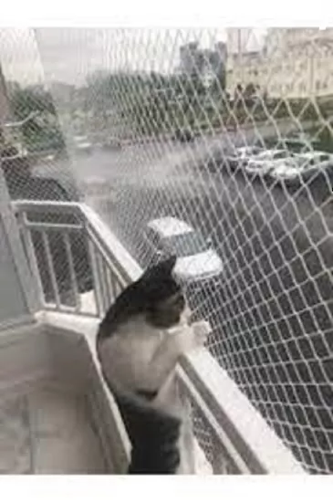 En 3 Metre Balkon Kedi filesi kuş filesi kapatma ağı 2 mm
